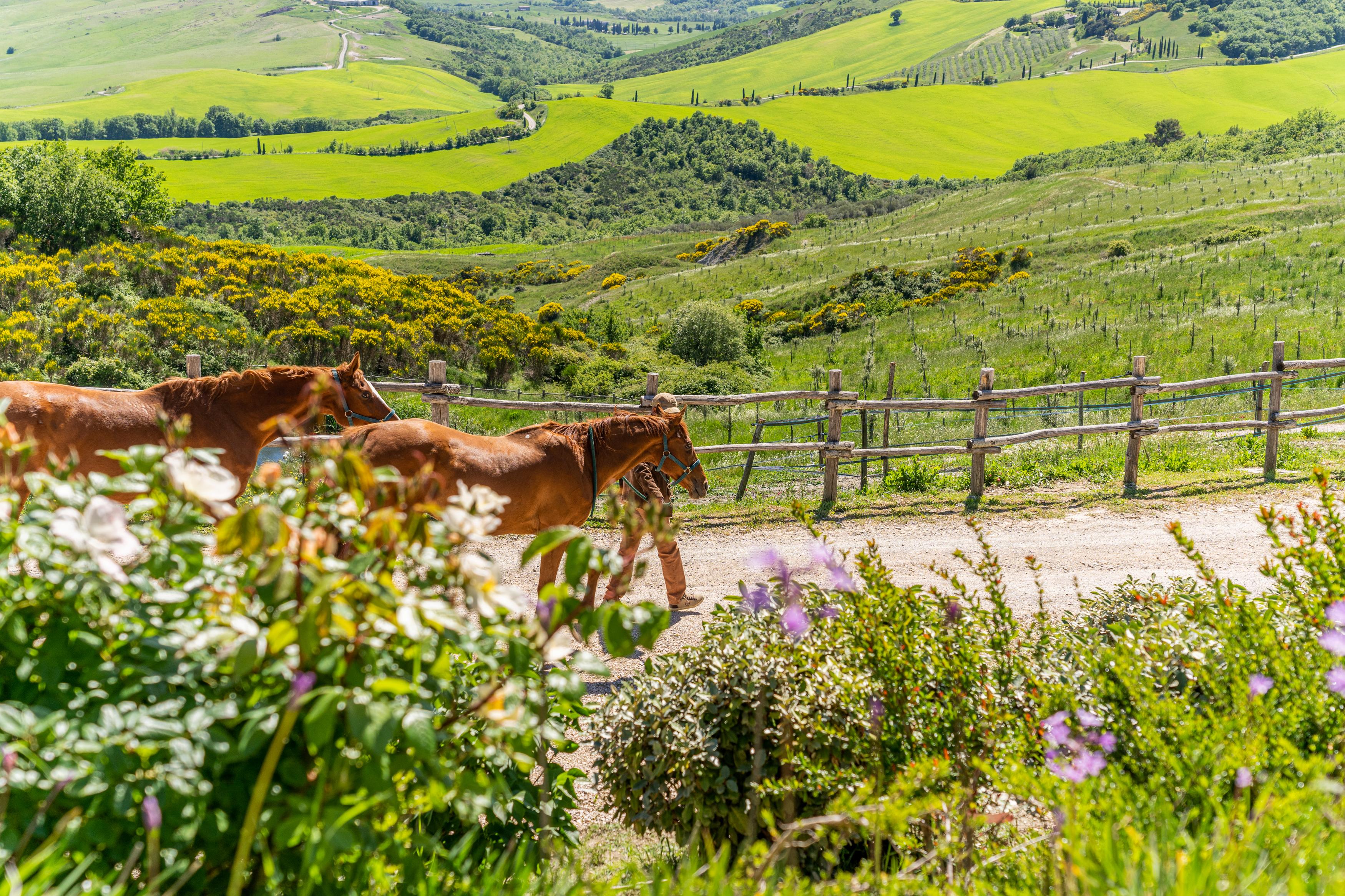 Podere Val D'Orcia - Tuscany Equestrian Sarteano Luaran gambar